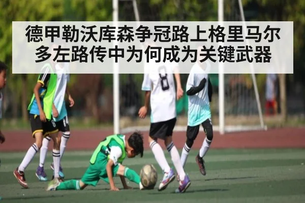 德甲勒沃库森争冠路上格里马尔多左路传中为何成为关键武器 - kaiyun